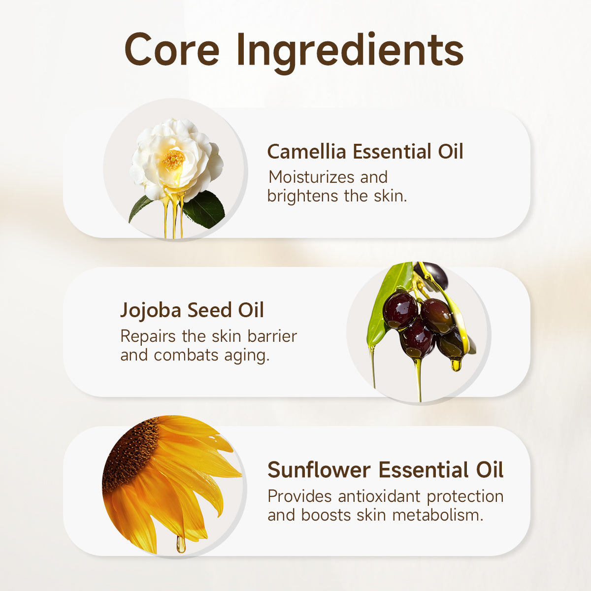 Hexkin Camellia Concentrate Eye Oil